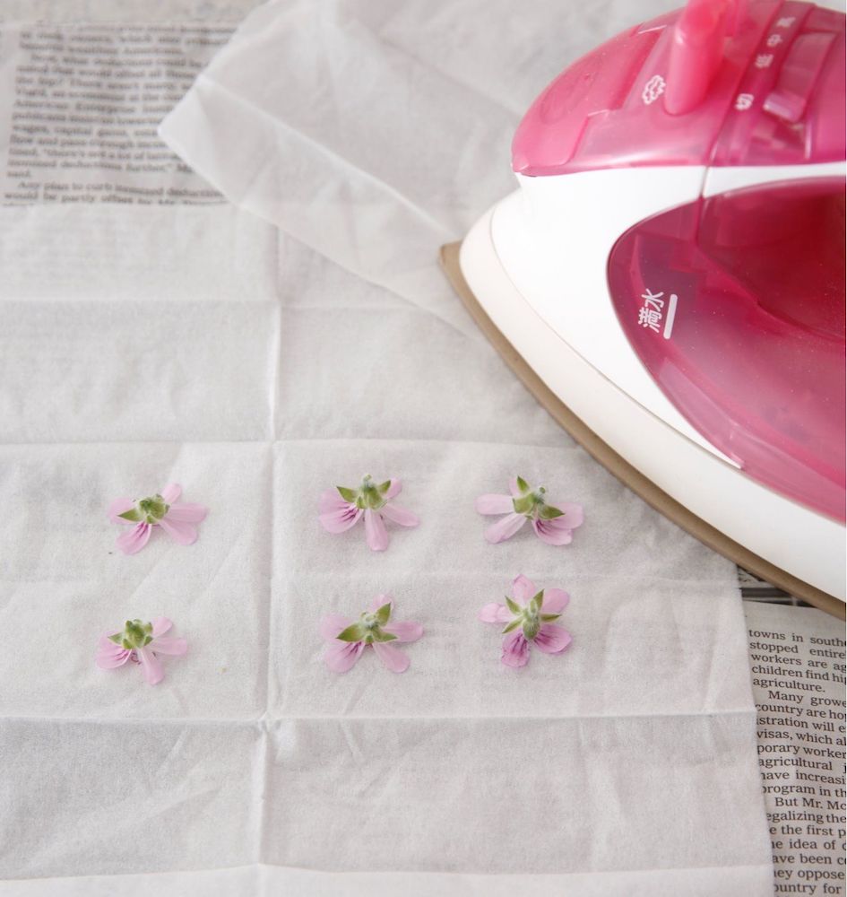 ラベンダーの 上手な押し花の作り方と飾り方アイデア Gardenstory ガーデンストーリー