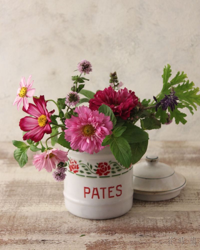 コスモスのおしゃれな生け方 飾り方 フラワーアレンジで長もちさせるコツ Gardenstory ガーデンストーリー