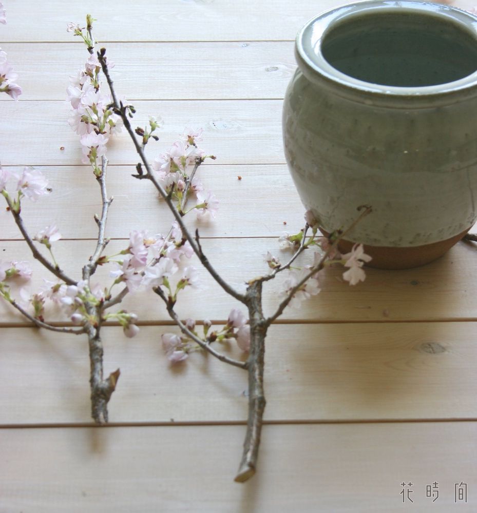 サクラ 桜 のおしゃれな生け方 飾り方 フラワーアレンジで長もちさせるコツ Gardenstory ガーデンストーリー サクラ 桜 のおしゃれな生け方 飾り方 フラワーアレンジで長もちさせるコツ Gardenstory ガーデンストーリー
