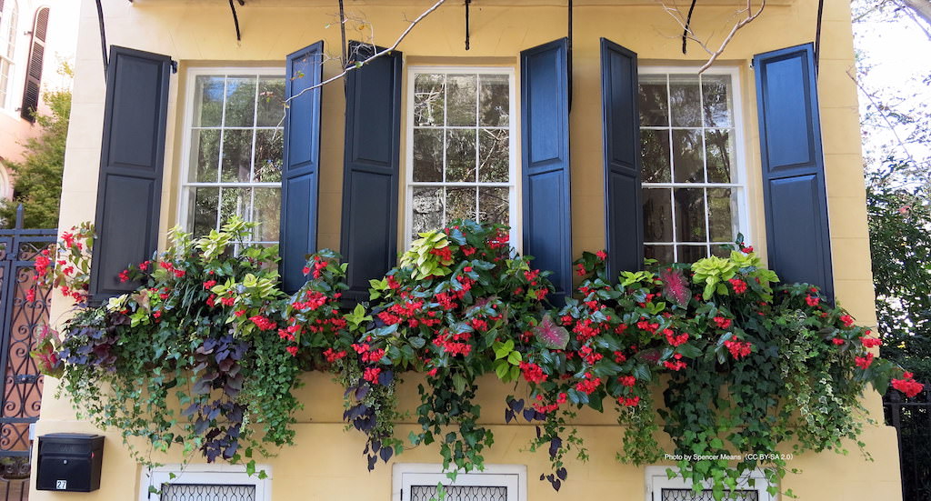 窓辺を花で鮮やかに飾る“ウィンドウボックス” 海外実例5選 | GardenStory (ガーデンストーリー)