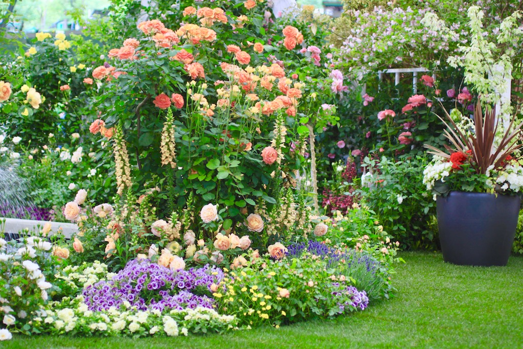 夏は庭の端境期（はざかいき）！ 美しく保ち続ける庭づくりのコツ