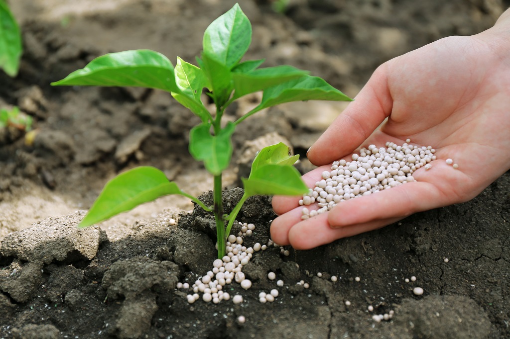 寒肥・置き肥・元肥・追肥・お礼肥とは？植物にあわせた肥料５つの使い方