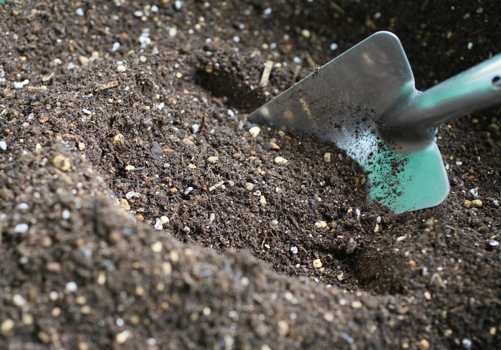 植物の好みに合わせて基本の土に＋αで揃えたい「土壌資材」９種