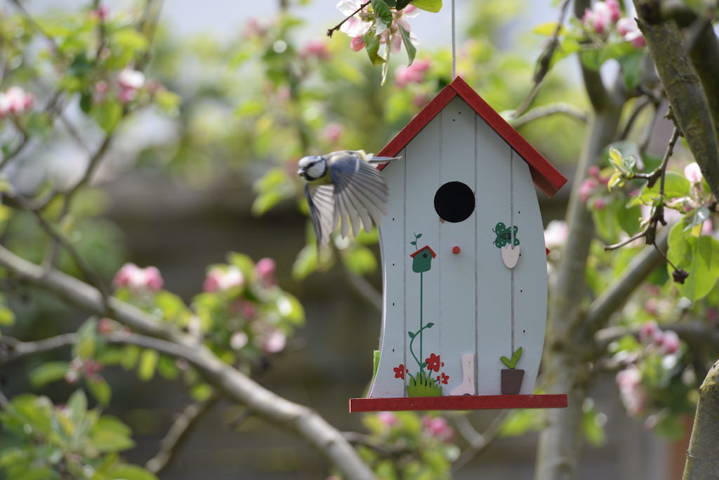 バードハウス　巣箱　庭　鳥　野鳥　バードフィーダー　観察　ガーデニング　木製