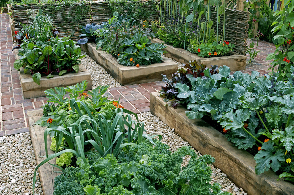 おしゃれでフォトジェニックな菜園 キッチンガーデン を作ろう Gardenstory ガーデンストーリー
