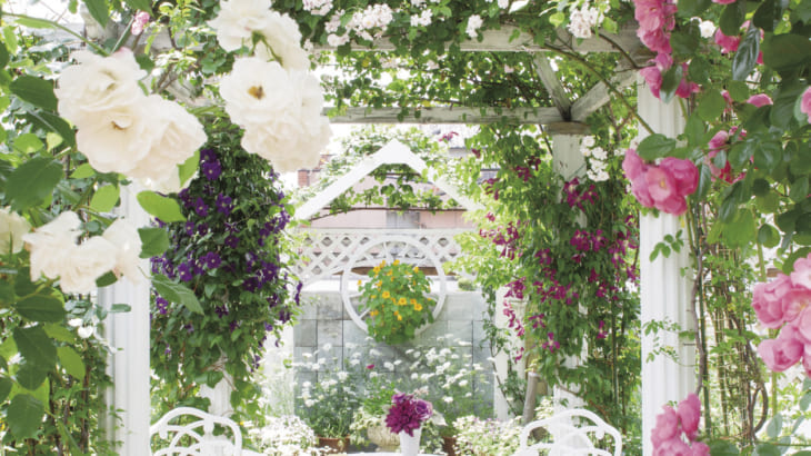 つるバラを使ったリフォーム事例とオススメのバラ３選 Gardenstory ガーデンストーリー