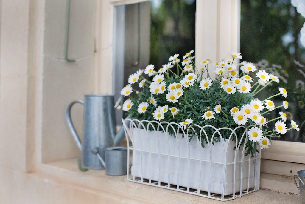 窓辺を花で鮮やかに飾る“ウィンドウボックス” 海外実例５選