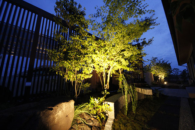 樹木で夜の庭に浮かび上がるシンボルツリー 樹木を魅力的にライトアップするコツと手法 Gardenstory ガーデンストーリー