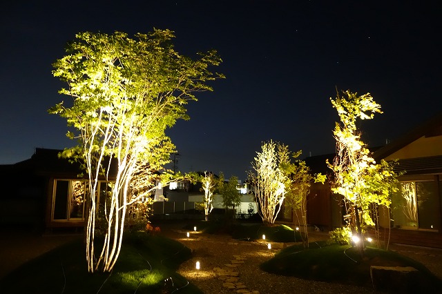 樹木で夜の庭に浮かび上がるシンボルツリー 樹木を魅力的にライトアップするコツと手法 Gardenstory ガーデンストーリー