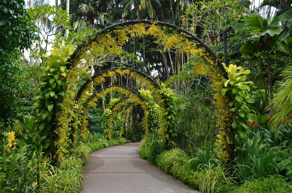 花好きさんの旅案内、シンガポール「ナショナル・オーキッド・ガーデン」