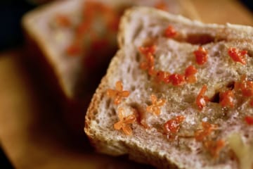 甘く香ってかわいい、キンモクセイシロップの作り方