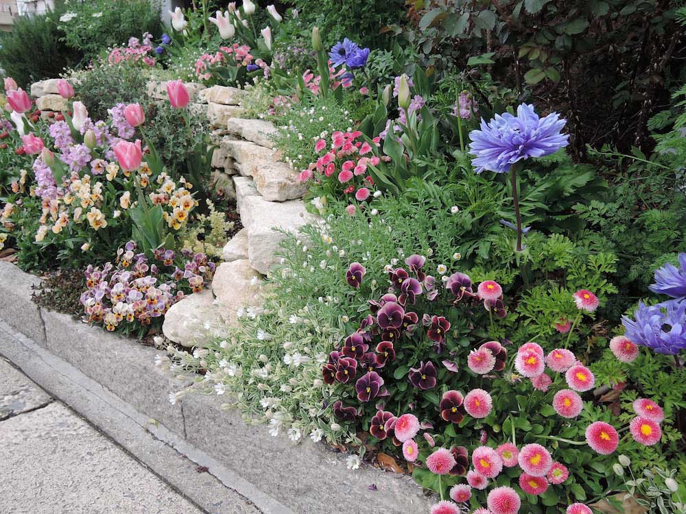 初めてのガーデニング講座 小さな花壇で育てる一年の花サイクル Gardenstory ガーデンストーリー
