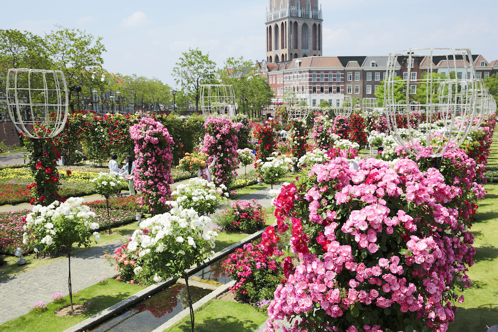 花の庭巡りならここ！ ヨーロッパの街並みがバラで埋め尽くされる長崎「ハウステンボス」