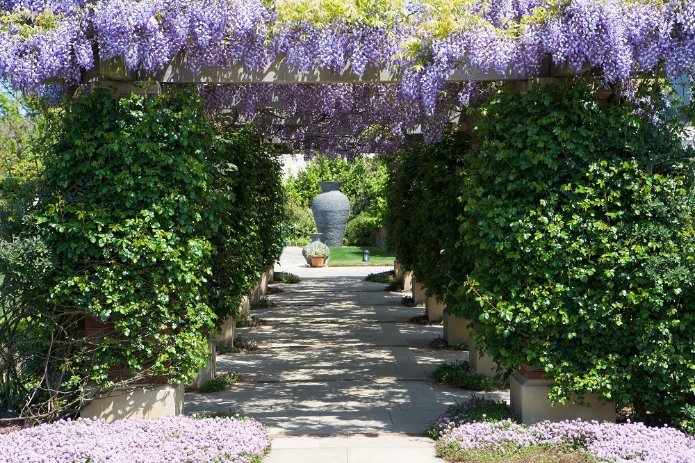 花の庭巡りならここ! 伝統的な英国スタイルのガーデン「松江イングリッシュガーデン」