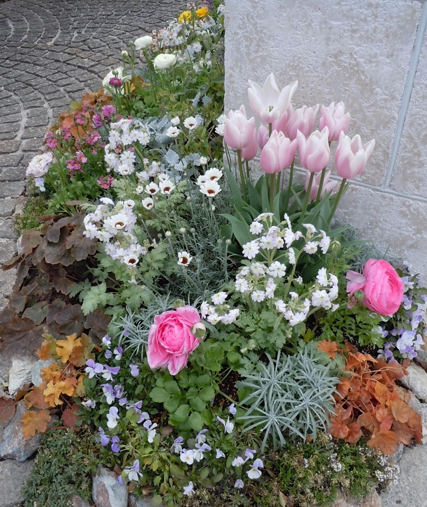 天野麻里絵さんの やってみよう 初めてのガーデニング 小さな花壇で育てる冬 春の花５選 Gardenstory ガーデンストーリー