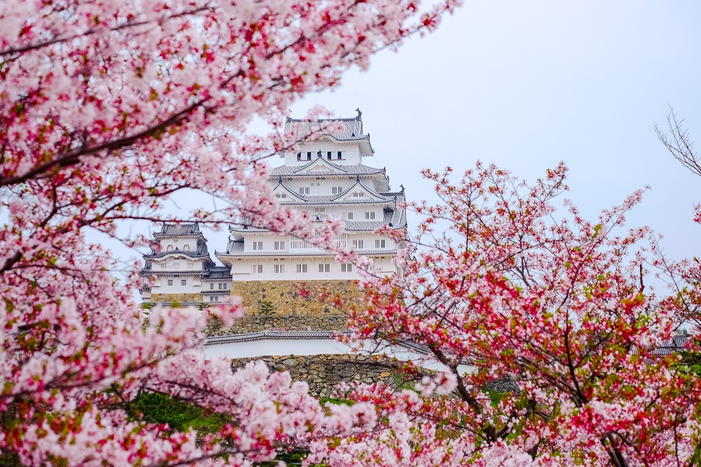 日本の春を彩る美しい花 桜の名所に出かけよう Gardenstory ガーデンストーリー