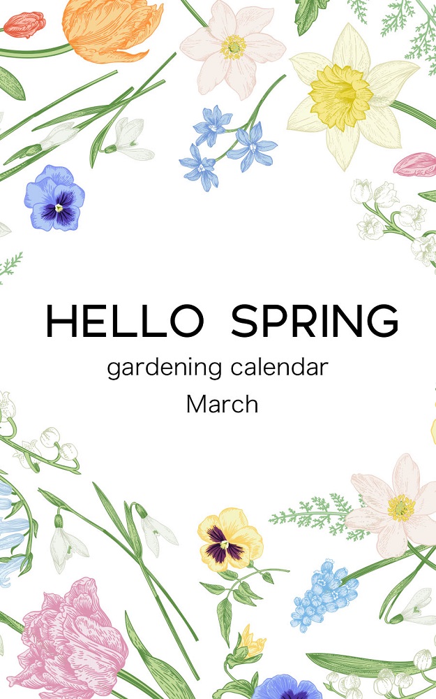 ３月の庭仕事をチェック！ ガーデニングカレンダー March