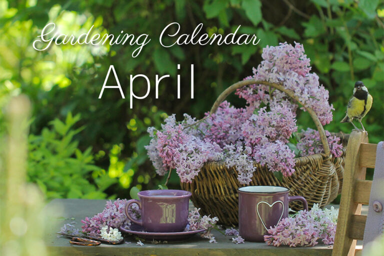 ４月の庭仕事をチェック！ ガーデニングカレンダー April