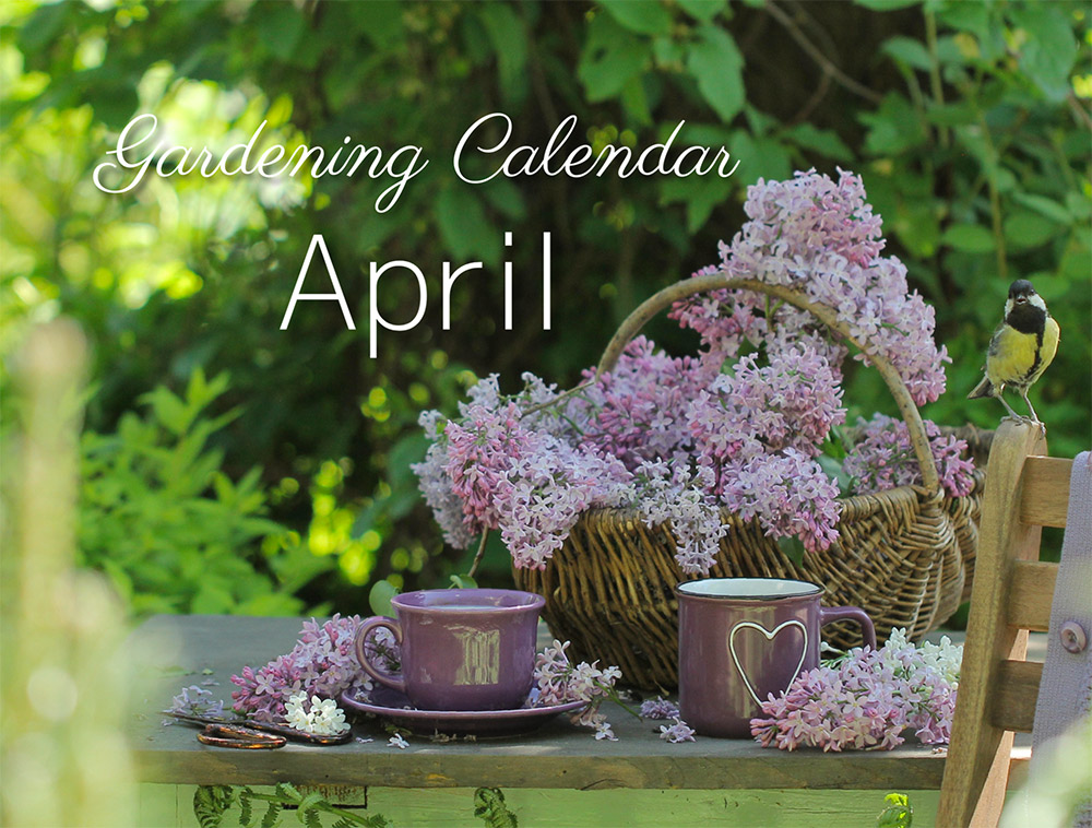 ４月の庭仕事をチェック！ ガーデニングカレンダー April