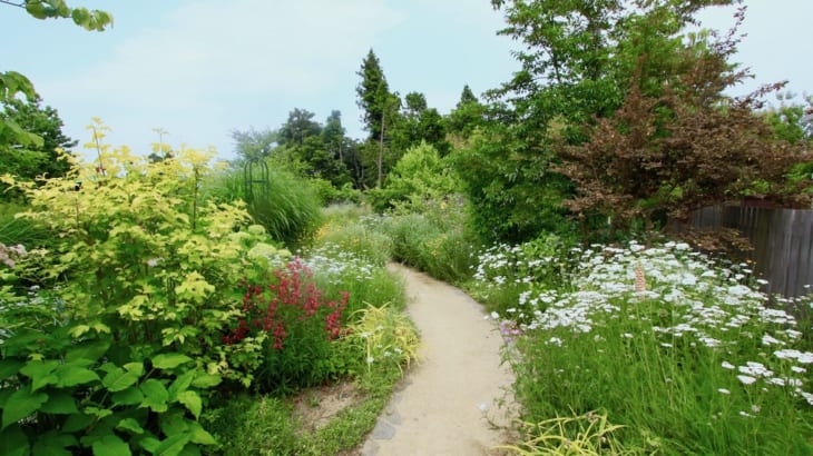 500種のハーブが香る 鈴木ハーブ研究所 の癒しの庭 Gardenstory ガーデンストーリー