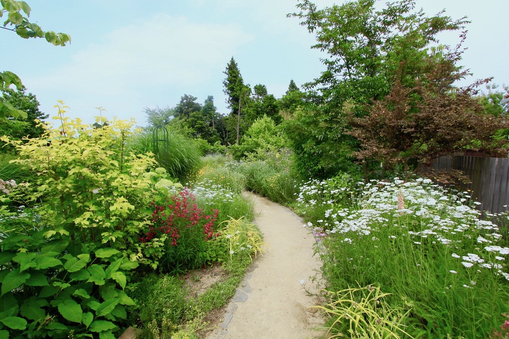 オープンガーデン開催中！５月26、27日　500種のハーブが香る「鈴木ハーブ研究所」の癒やしの庭