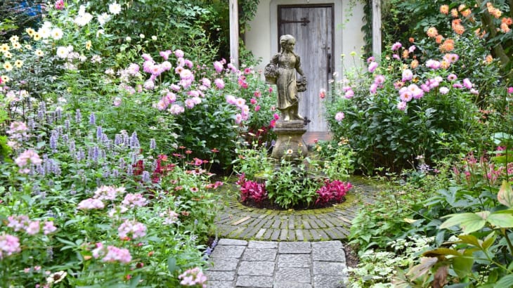 天野麻里絵さんの やってみよう 初めてのガーデニング 小さな花壇で初夏から秋にかけてナチュラルを印象づける草花５選 Gardenstory ガーデンストーリー