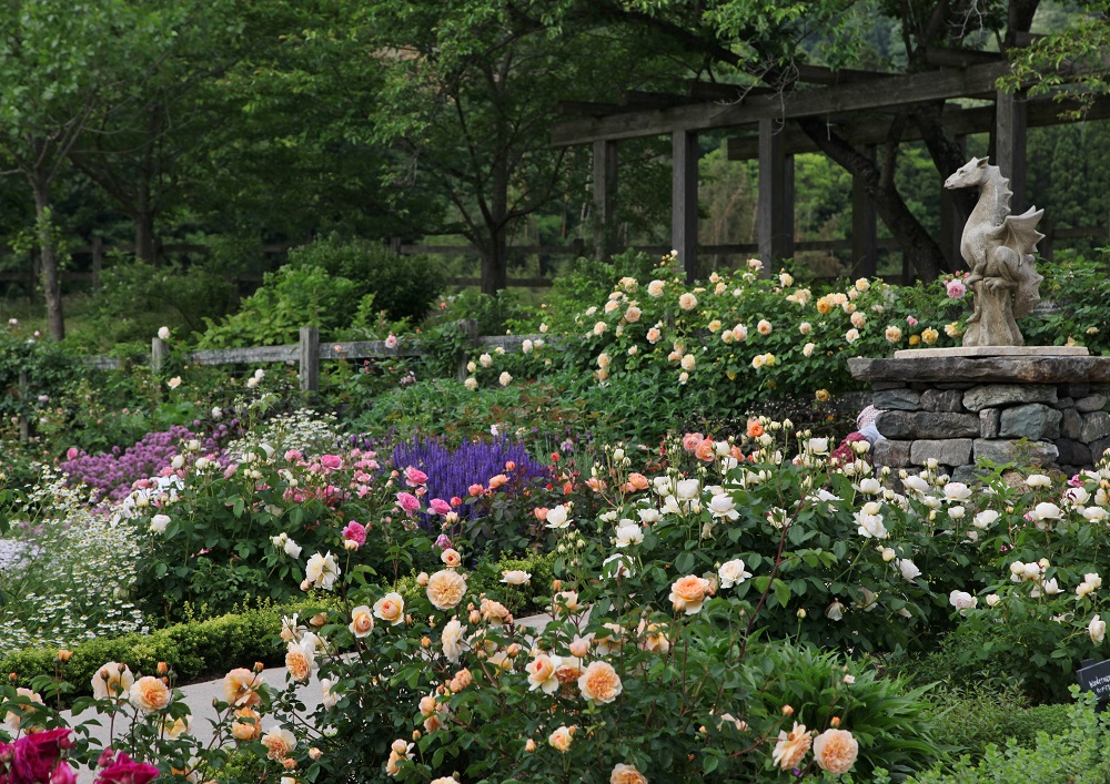 花の庭巡りならここ！ 自然の恵みを五感で楽しめる、充実の観光ガーデン「English Garden ローザンベリー多和田」