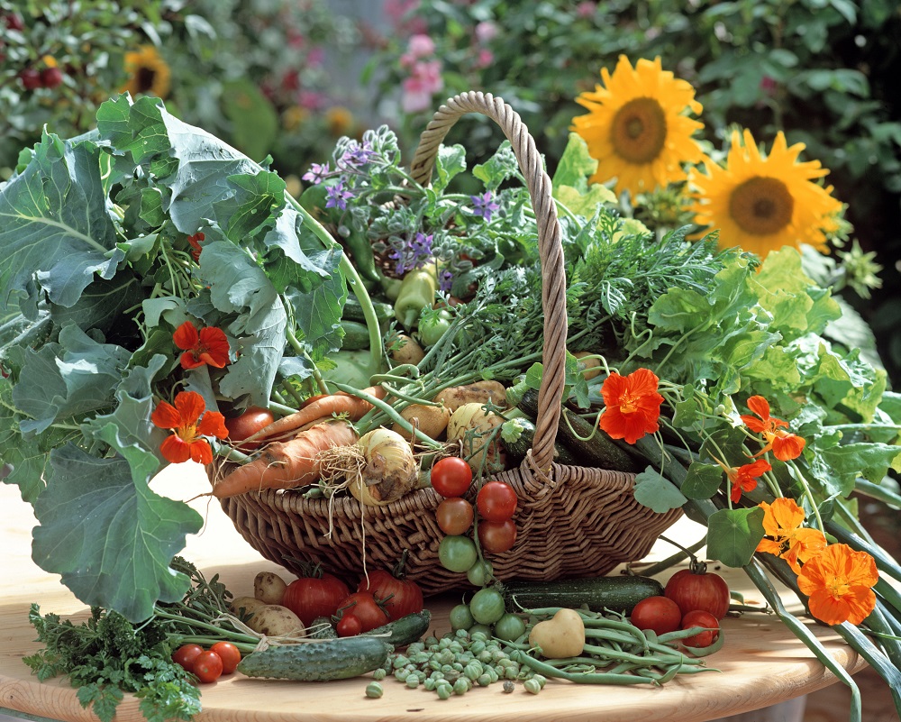花も野菜も生かしてカラフルに　ドイツのミックスガーデン“MISCHKULTUREN”