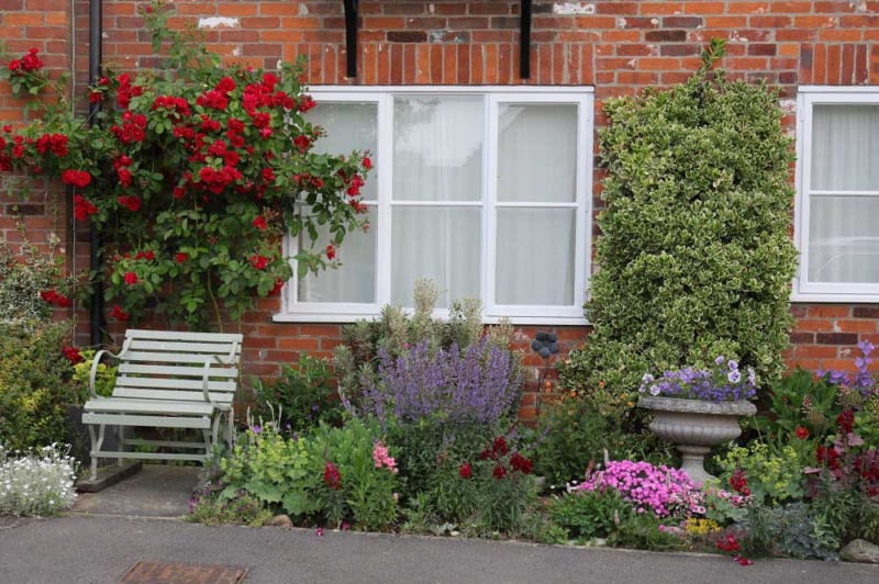 センスがよい小さな庭をつくろう！ 英国で見つけた植栽アイデア