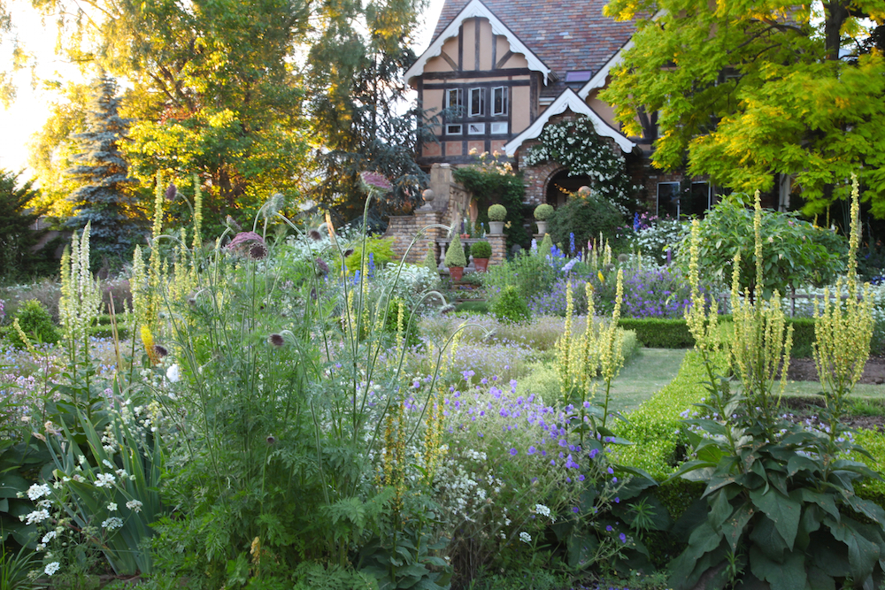 カメラマンが訪ねた感動の花の庭。イギリス以上にイギリスを感じる庭　山梨・神谷邸