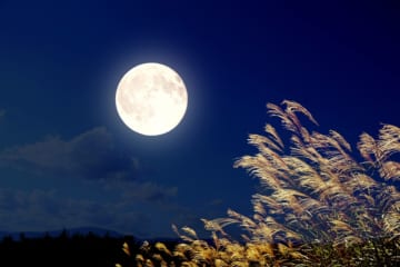 2025年10月6日は【中秋の名月】秋にお月見をする理由と日本の風習をおさらい