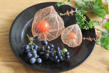 ホオズキで作るおしゃれなボタニカルクラフト「リース飾り」＆「透かしホオズキ」