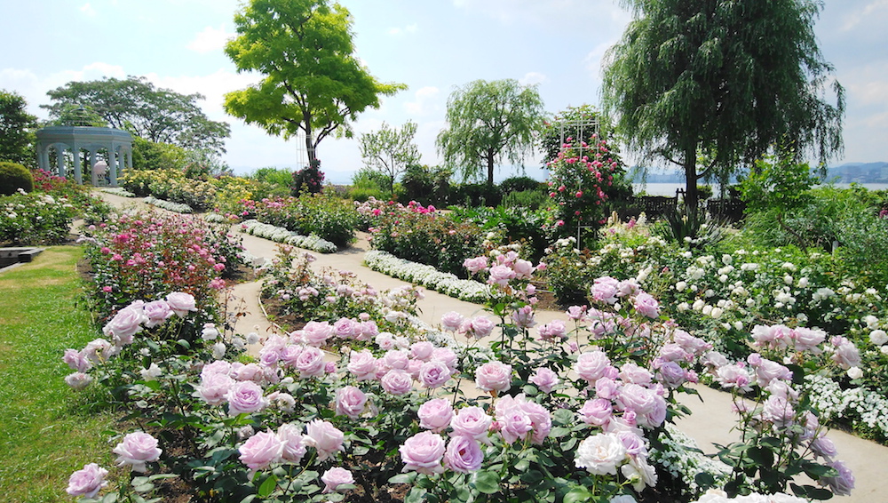 花の庭巡りならここ！ 近代名建築を華やかに盛り上げる西洋式回遊庭園「びわ湖大津館 イングリッシュガーデン」