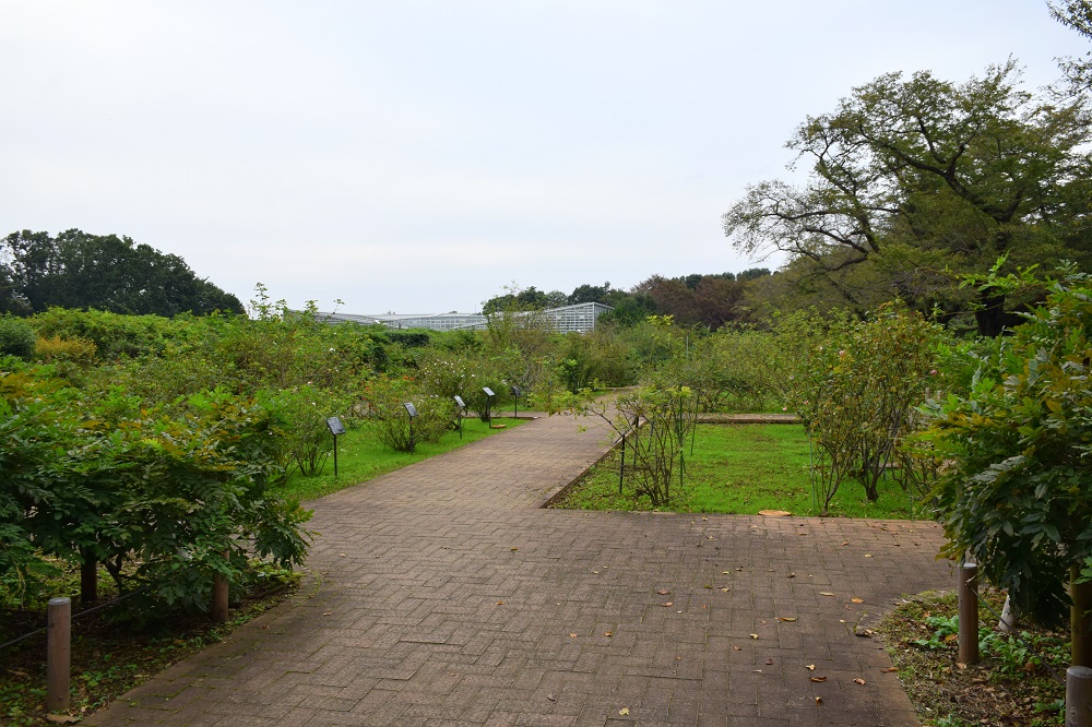 神代植物公園