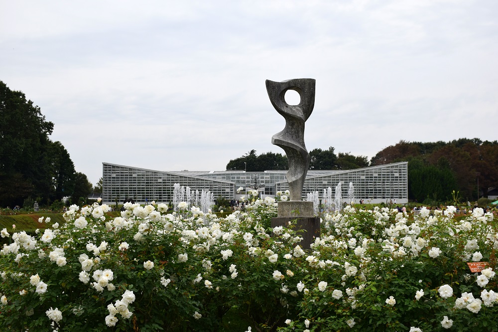 秋バラが咲き誇る都会のバラ園「神代植物公園」の歴史と見どころ