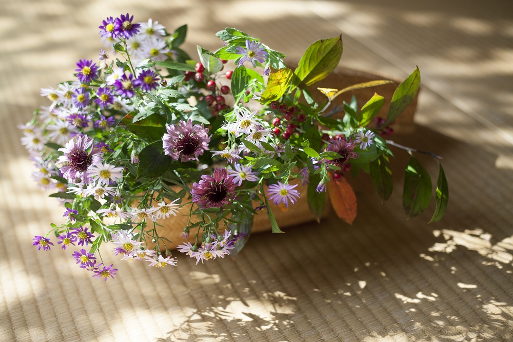 小さな庭と花暮らし「冬の暮らしを彩るアロニアの実」 | GardenStory 