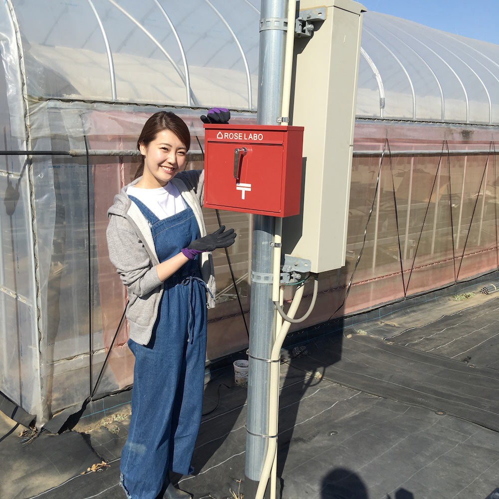 ［ROSE LABO通信 Vol.3］食べられるバラの栽培地レポートを埼玉県深谷市よりお届け！