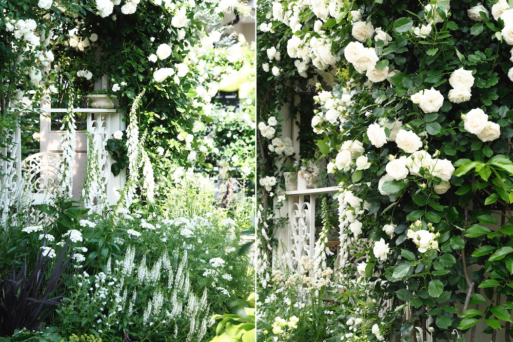 「私の庭・私の暮らし」こだわりの植物選びで心安らぐホワイトガーデン　埼玉県・秋山邸