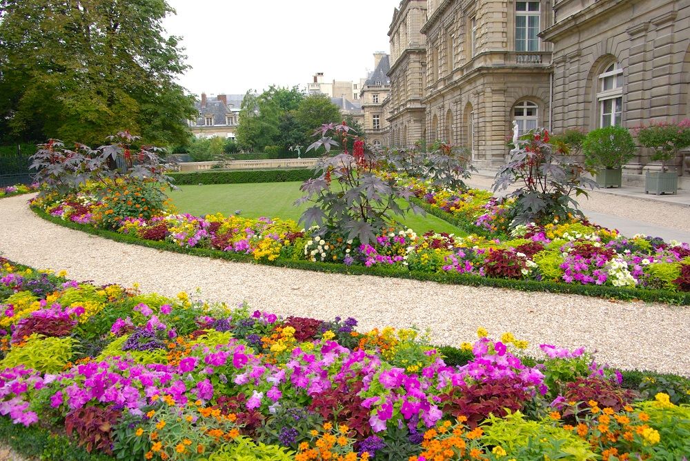フランスの花壇