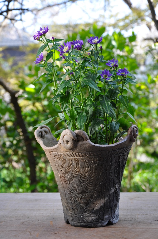 ミヤコワスレを植えた縄文風の鉢