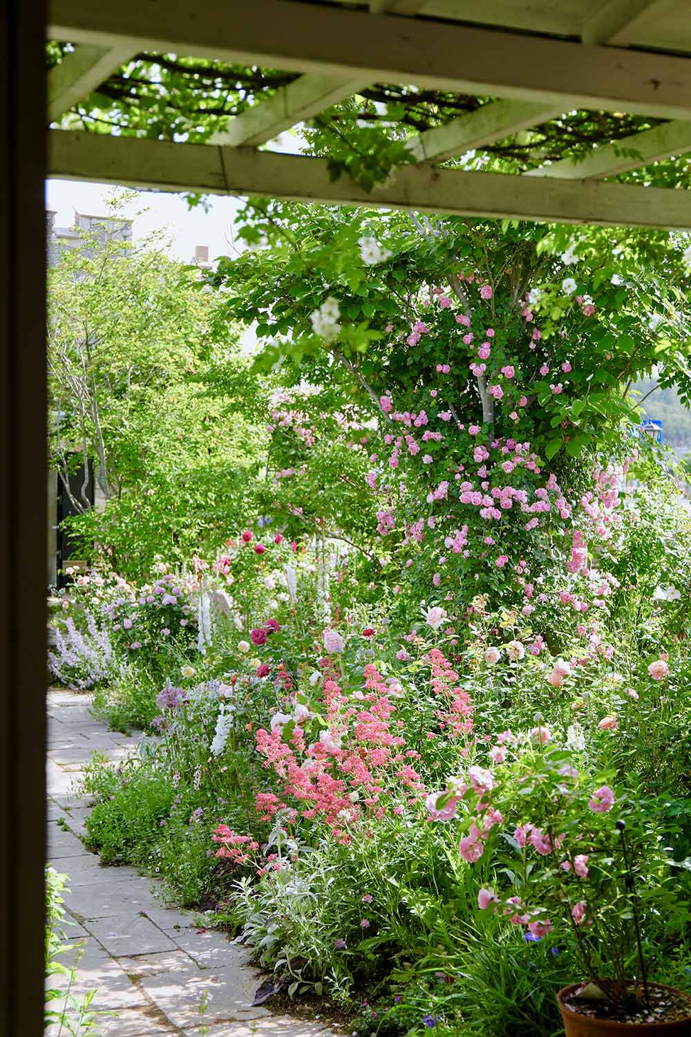 売買 散水ホース 散水キット DIY ガーデンシャワー ミスト 20mホース 花 植物 盆栽用 家庭園芸 温室加湿