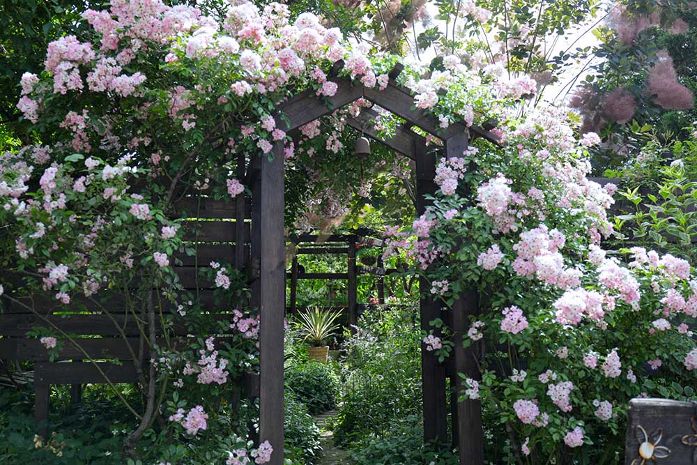 「私の庭・私の暮らし」楽しさいっぱい！ DIYで魅せる庭　新潟・高張邸 〈healing garden TAKAHARI〉