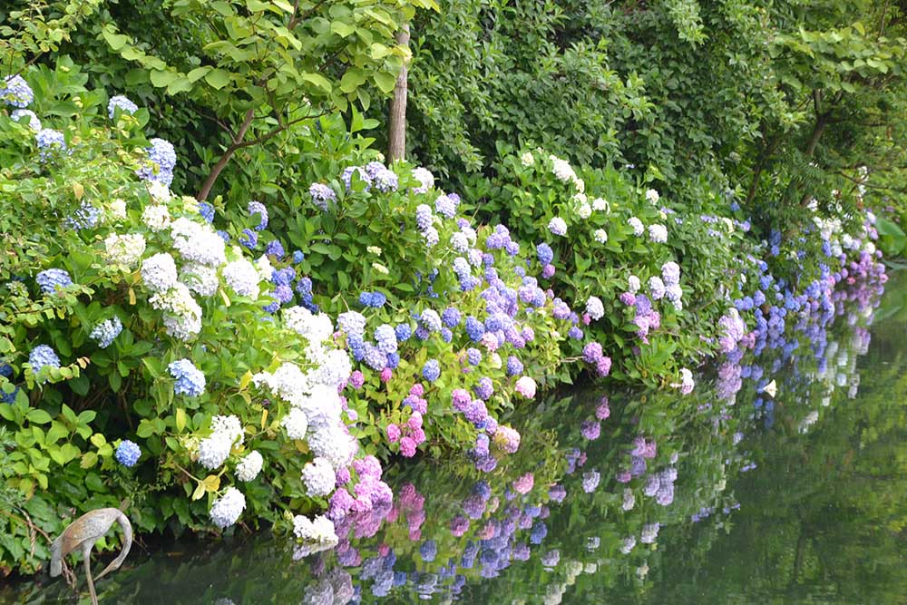 花の庭巡りならここ 日本のデンマークが誇るガーデン 安城産業文化公園デンパーク Gardenstory ガーデンストーリー
