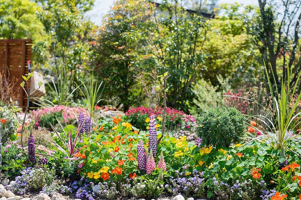 花の庭巡りならここ！ 最先端のオシャレ観光農園が登場「農園ガーデン空」