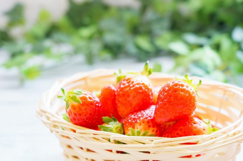 【プランター栽培】ベランダ菜園で！ 初心者でも失敗しないイチゴの育て方
