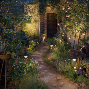 ライトアップで庭をおしゃれに演出！ ガーデンライトの魅力とは？