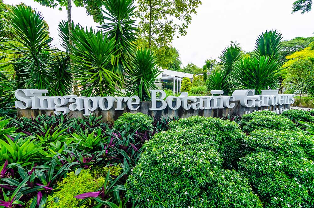 シンガポールの庭