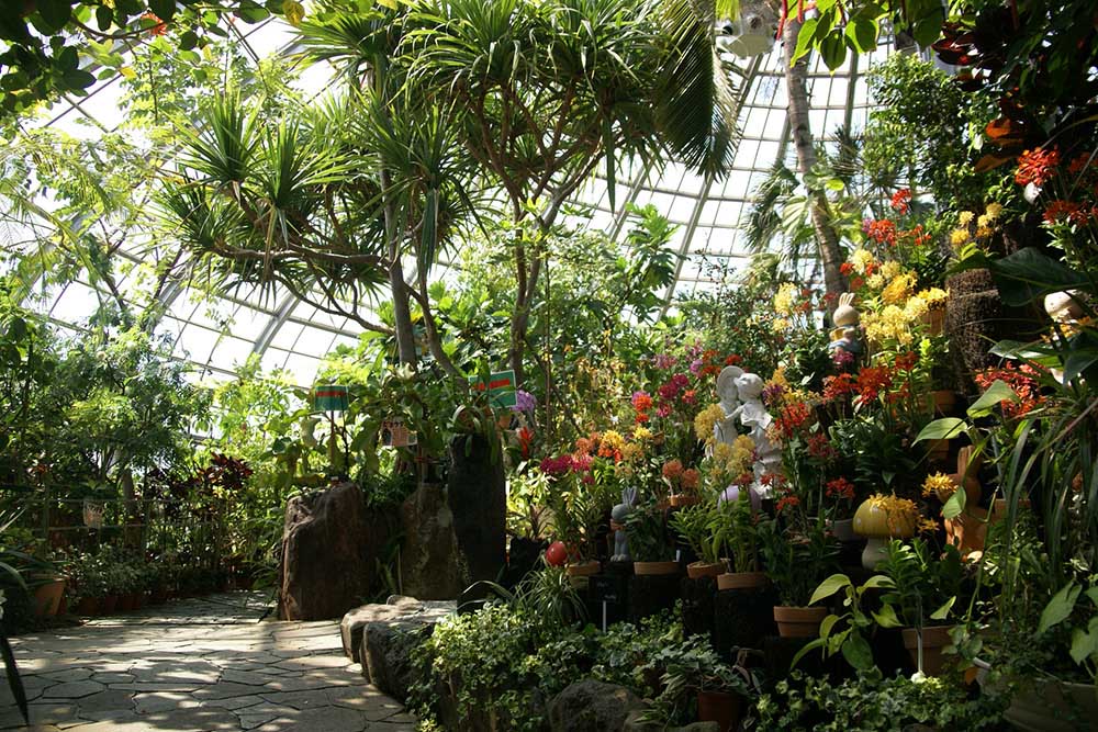 花の庭巡りならここ！ 大小２つの温室で植物の息吹を感じる「手柄山温室植物園」