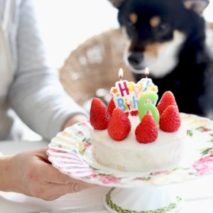 手作り犬用ケーキ