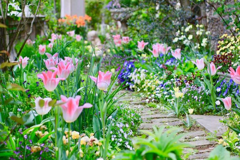 春を知らせる花を探そう！ ３月に咲く人気の花20選